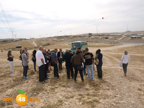 arddaynaqav331 (5).jpg